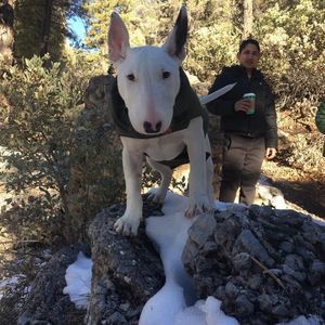 Meet your Posher, Jacobo